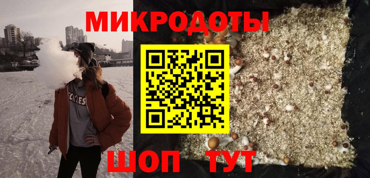 Галлюциногенные грибы мухоморы  Вход с VPN  Елизово 